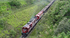 Schirmer atrás do Trem dos Pampas