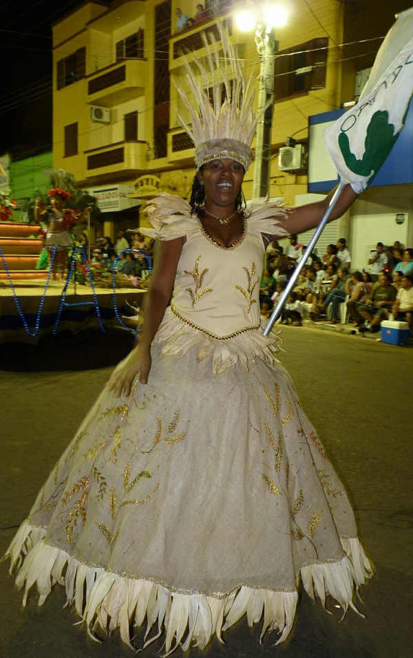 Escolas de samba avaliam seus desempenhos