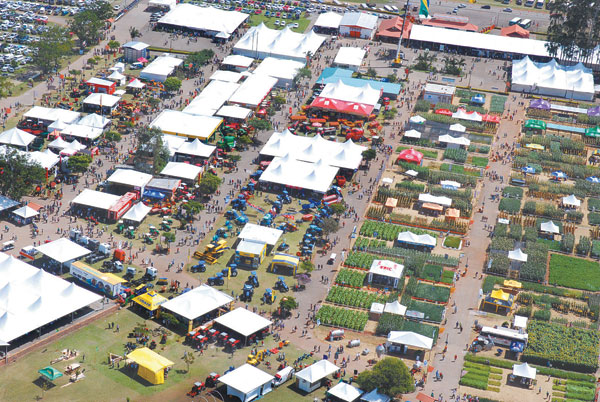 A feira gigante dos pequenos produtores