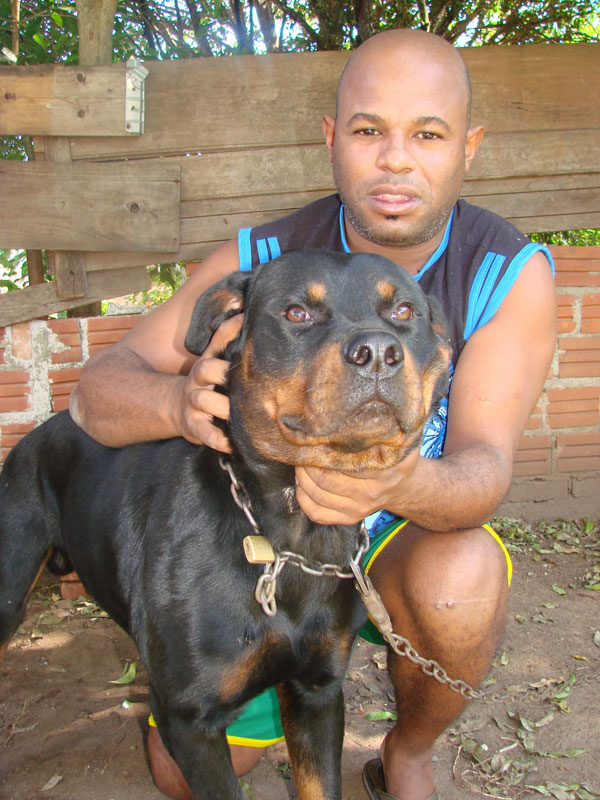 Cão é destroçado por rottweiler