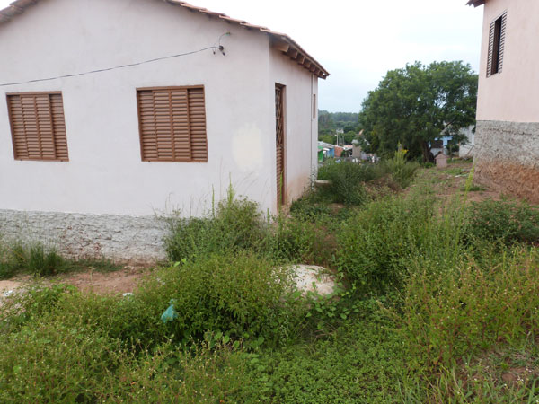 Casa de Porcina no Bairro Habitar-Brasil está tomada pelo mato