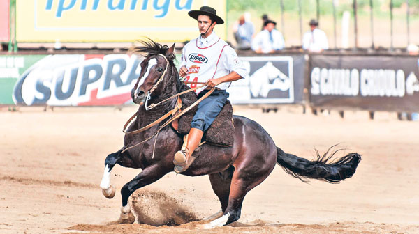 A galope em busca do Freio de Ouro