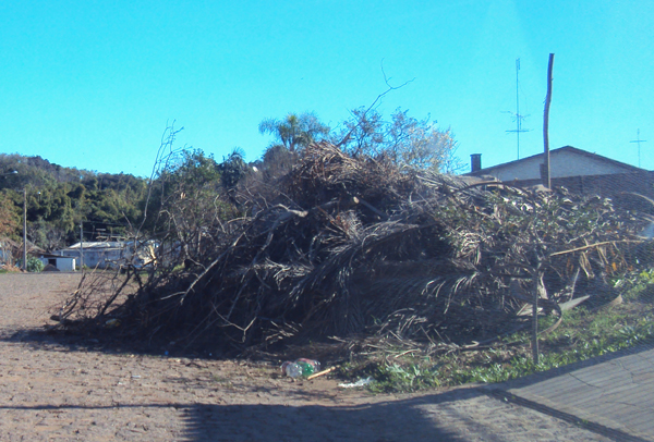 Vizinho limpa terreno e deposita sujeira na rua