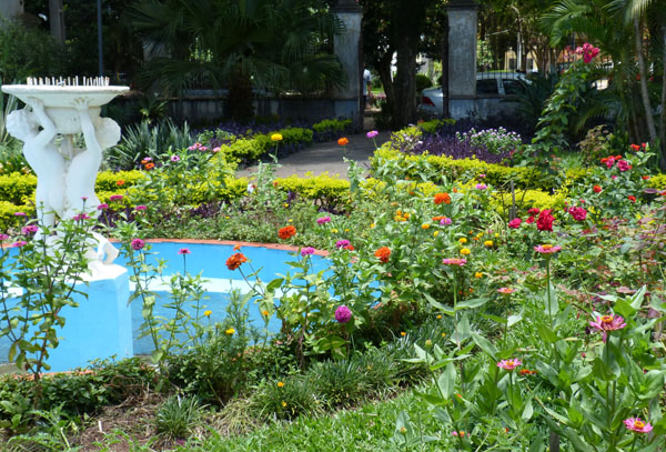 Jardim do acesso ao gabinete do prefeito é um belo cartão de visita