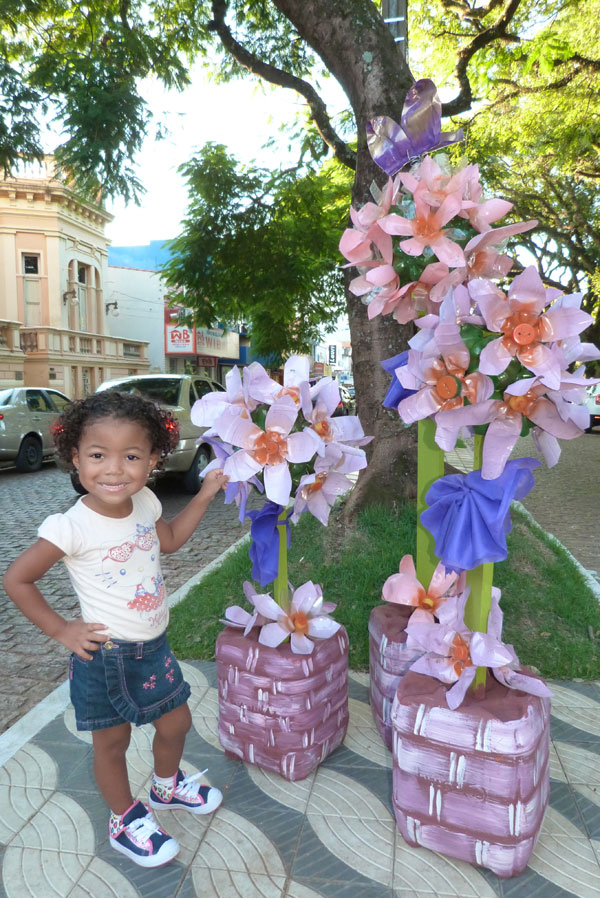 Flores enfeitam os canteiros da Rua 7