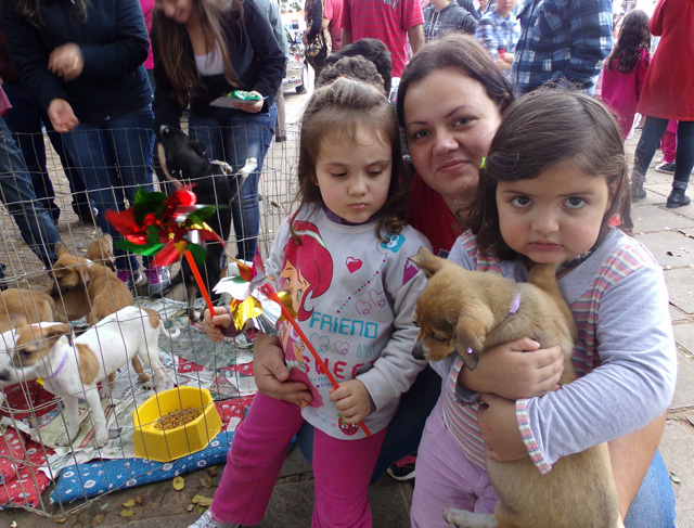 Novo lar para 10 bichinhos da Acapa na feira da A Praça é Nossa