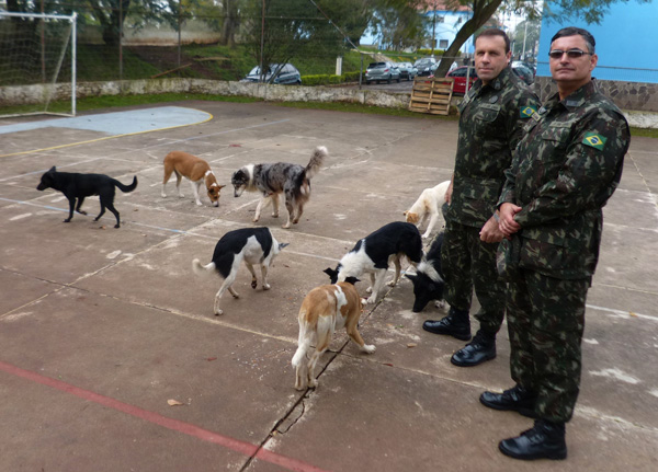 Uma tropa de cães no Batalhão