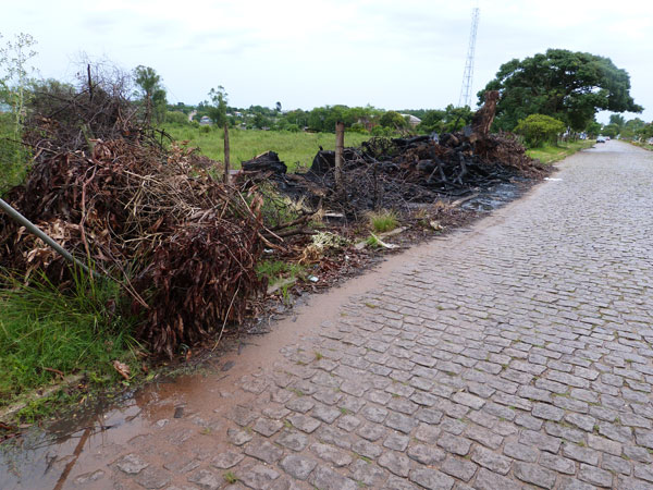 Leitora alerta para formação de lixão clandestino na Alarico Ribeiro