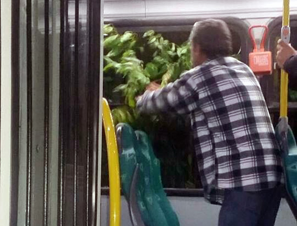 Passageiros da TNSG passaram por maus bocados no ônibus