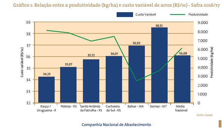 Custo de produção do arroz de Cachoeira é o maior do estado