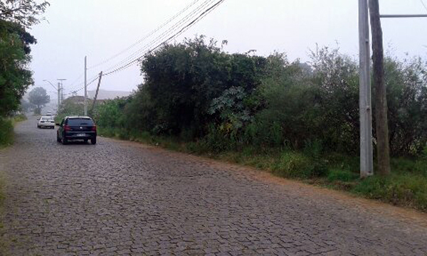 Matagal impede o uso de calçada na Rua Alarico Ribeiro