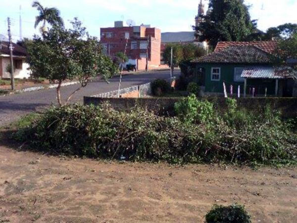 Poda de árvore irrita morador no Bairro Santo Antônio