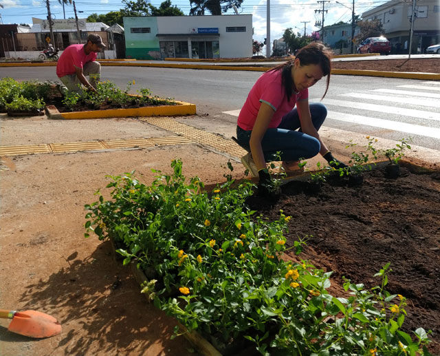 Grama no miolo da rotatória foi saída para baixar preço