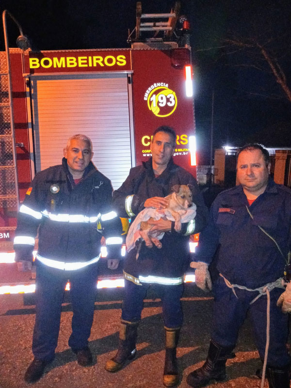 Corpo de Bombeiros resgata cão em sanga no Drews