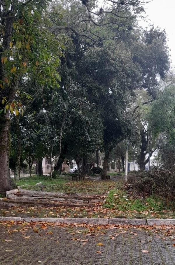 Falta de limpeza em Praça do Bairro Carvalho