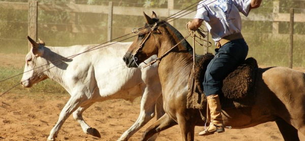 Final de semana de rodeio na Fenarroz