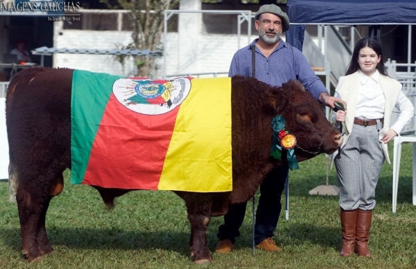 Hampshire da Cabanha Aroeira é o melhor na Feapec