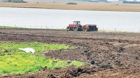 Fronteira Oeste puxa semeadura no RS