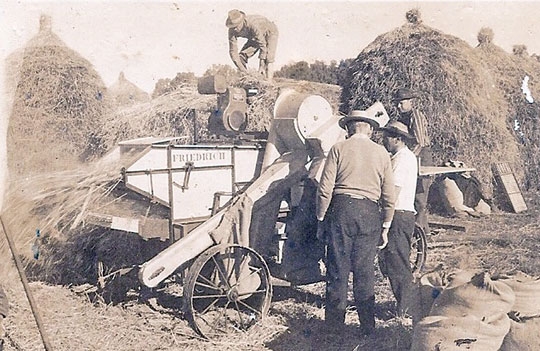 A história da Alemanha segue no Brasil