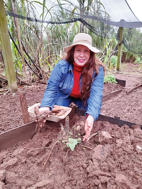 Mini sítio no Bosque produz hortis especiais e sem uso de veneno